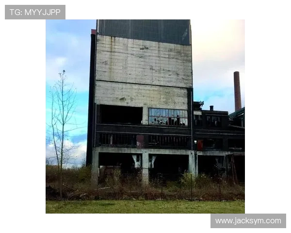 鲁尔区球场群:百年德甲风云与工业遗迹的交织传奇 鲁尔区球场群:百年德甲风云与工业遗迹的交织传奇