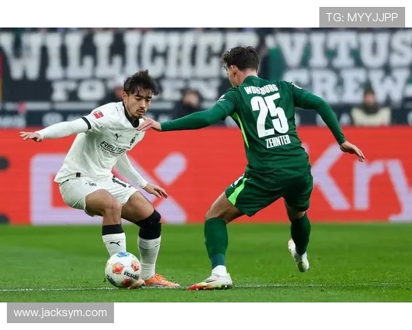 没有大牌球星的德甲球队名单及发展策略分析