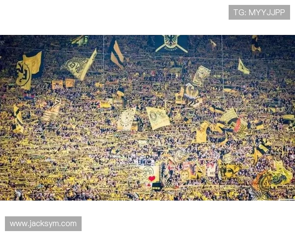 法甲球队球迷忠诚度调研：影响因素与维系策略分析